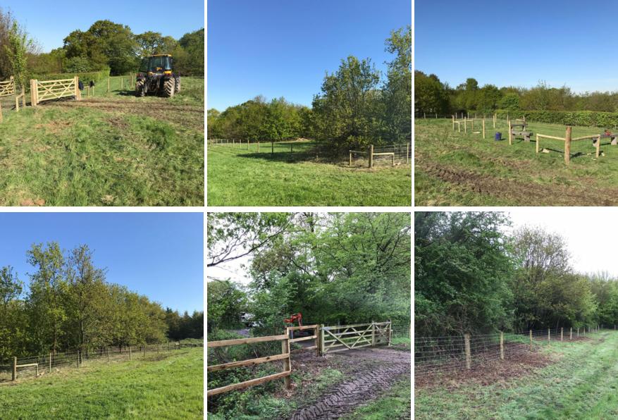 Stock Fencing Essex Wildlife Trust